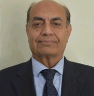 Abdul Hadi Shah - AHS Consultancy Founder